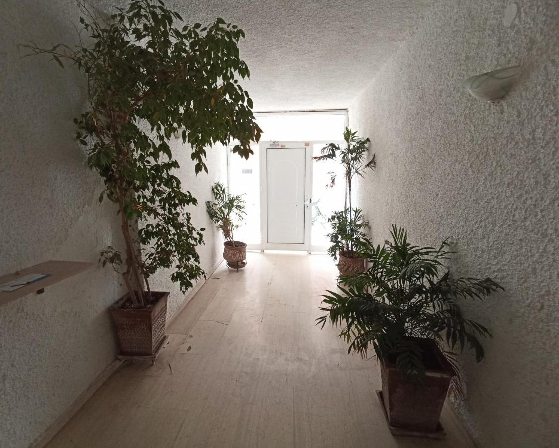 Tiny Central Penthouse, Big Terrace 卡拉马塔 外观 照片